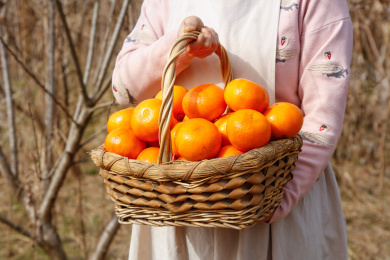 手里拿着新鲜沃柑