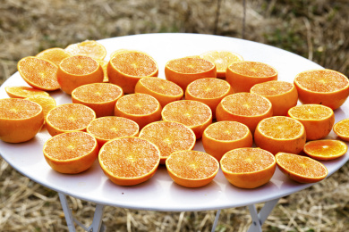 手里拿着新鲜沃柑