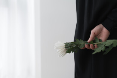 手拿白色菊花