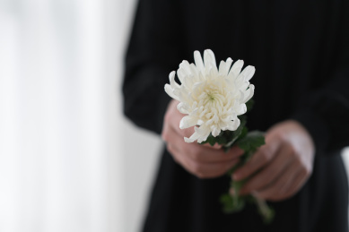 手拿白色菊花