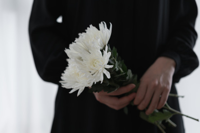 手拿白色菊花