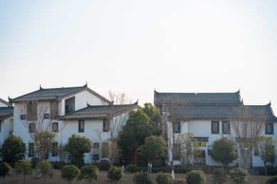 湖北武汉花博汇公园问茶村古戏台