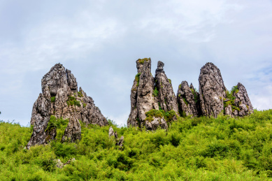 中国湖北神农架神农顶板壁岩石林