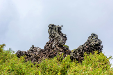 中国湖北神农架神农顶板壁岩石林