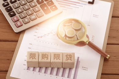 图表上的文字积木限购限贷