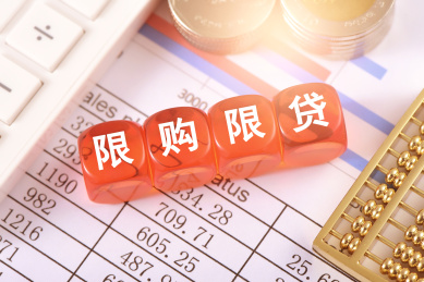 图表上的文字积木限购限贷