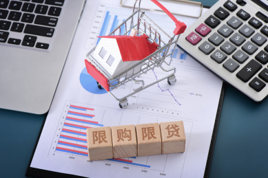 图表上的文字积木限购限贷