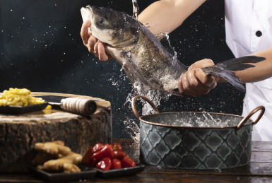 正在捞起准备宰杀的新鲜活鱼白花鲢鱼