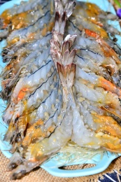 新鲜虾肉
