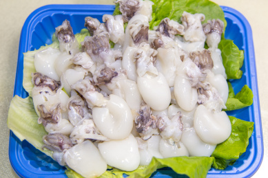 新鲜墨鱼仔