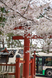 日本奈良冰室神社