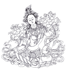 唐卡白描绿度母