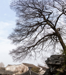 艺圃风光