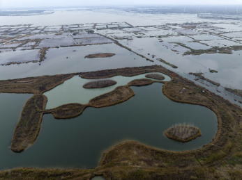 淮安白马湖国际重要湿地