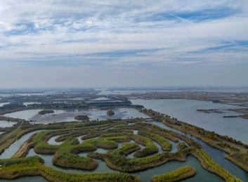 淮安白马湖国际重要湿地