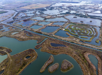 淮安白马湖国际重要湿地