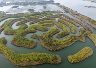 淮安白马湖国际重要湿地
