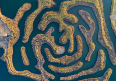 淮安白马湖国际重要湿地