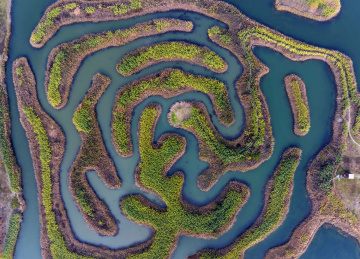 淮安白马湖国际重要湿地