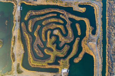 淮安白马湖国际重要湿地