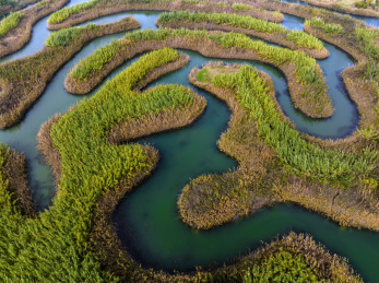 淮安白马湖国际重要湿地