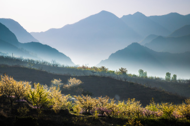 春天的青山