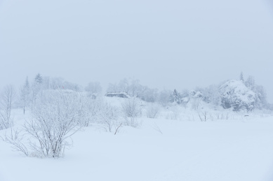 纯白的雪景大雪覆盖一切