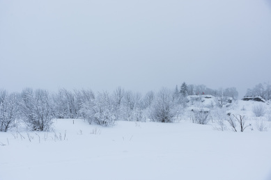 被大雪覆盖的大地一片白色