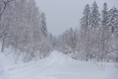 中国北方冬天时大雪覆盖