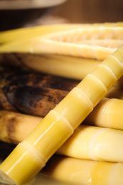 一堆老汤味手剥笋