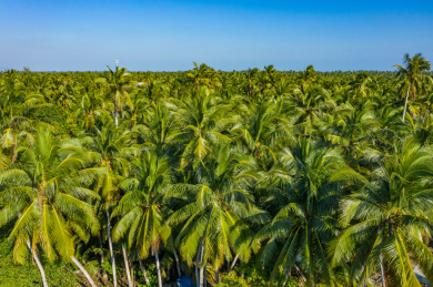 航拍海南文昌东郊椰林风景区海滨半岛椰子树
