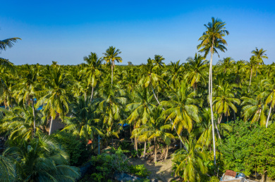 航拍海南文昌东郊椰林风景区海滨半岛椰子树