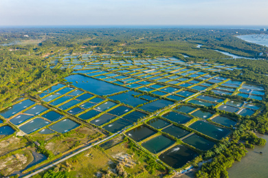 航拍海南文昌东郊镇清澜湾养殖鱼塘海湾风光