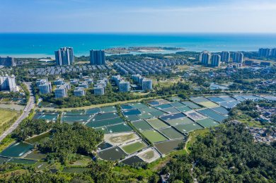 航拍海南琼海潭门镇沿海养殖场鱼塘虾塘密集