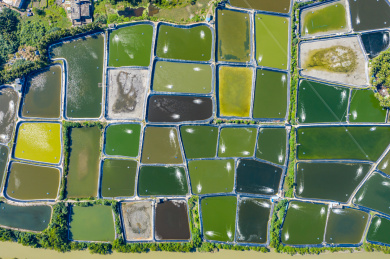 航拍海南琼海潭门镇沿海养殖场鱼塘虾塘密集