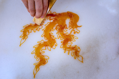 中国四川成都非遗糖画