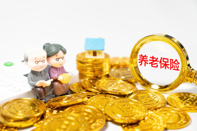 老年人养老金，个人账户，社保基金，医疗保