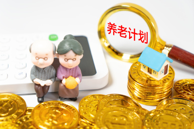 老年人养老金，个人账户，社保基金，医疗保