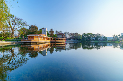 广州东山湖公园湖泊树林风光
