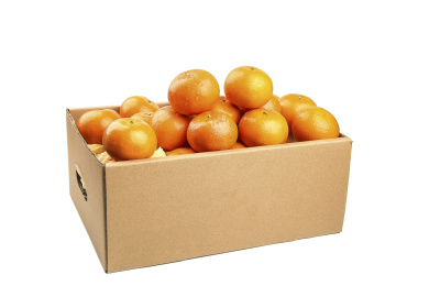 白底上的新鲜沃柑