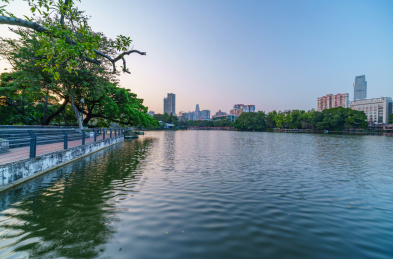 广州东山湖公园湖泊树林与城市建筑景观
