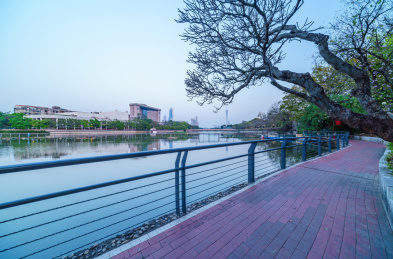 广州东山湖公园湖泊树林与城市建筑景观