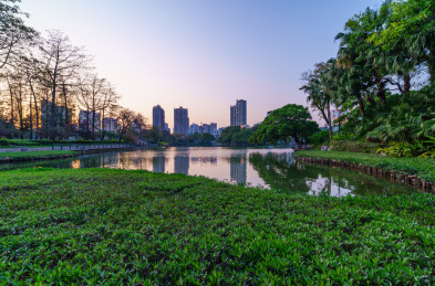 广州东山湖公园湖泊树林与城市建筑景观