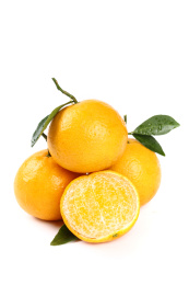 白底上放着广西皇帝柑