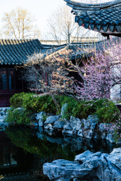 中国江苏苏州园林艺圃春季风光