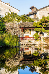 中国江苏苏州园林艺圃春季风光