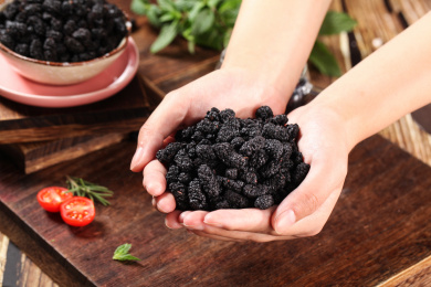 手上捧着一堆桑葚