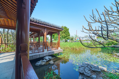 广州海珠湿地公园花园湖景传统中式走廊