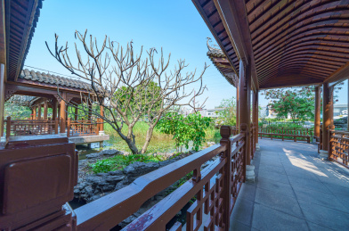 广州海珠湿地公园花园湖景传统中式走廊