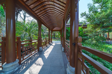 广州海珠湿地公园花园湖景传统中式走廊